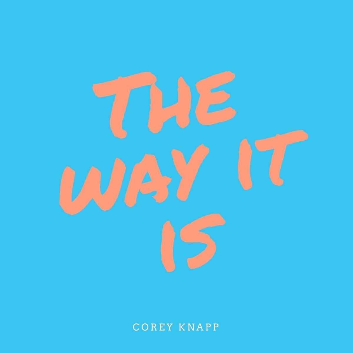 Album cover of The Way It Is