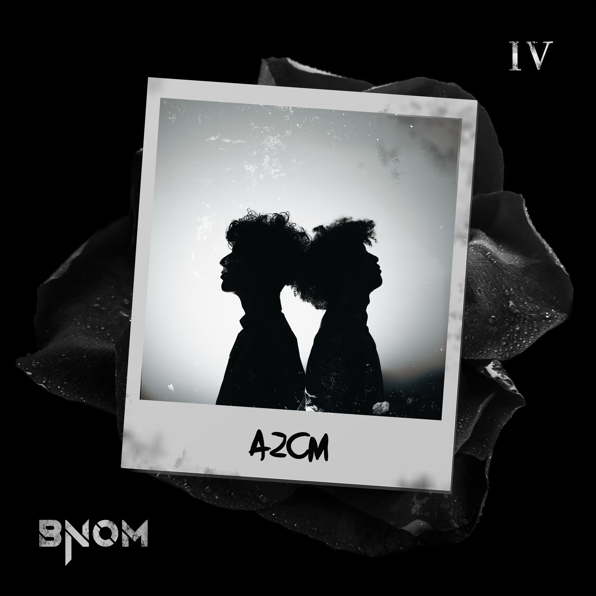 Album cover of A2CM #2, pt. IV