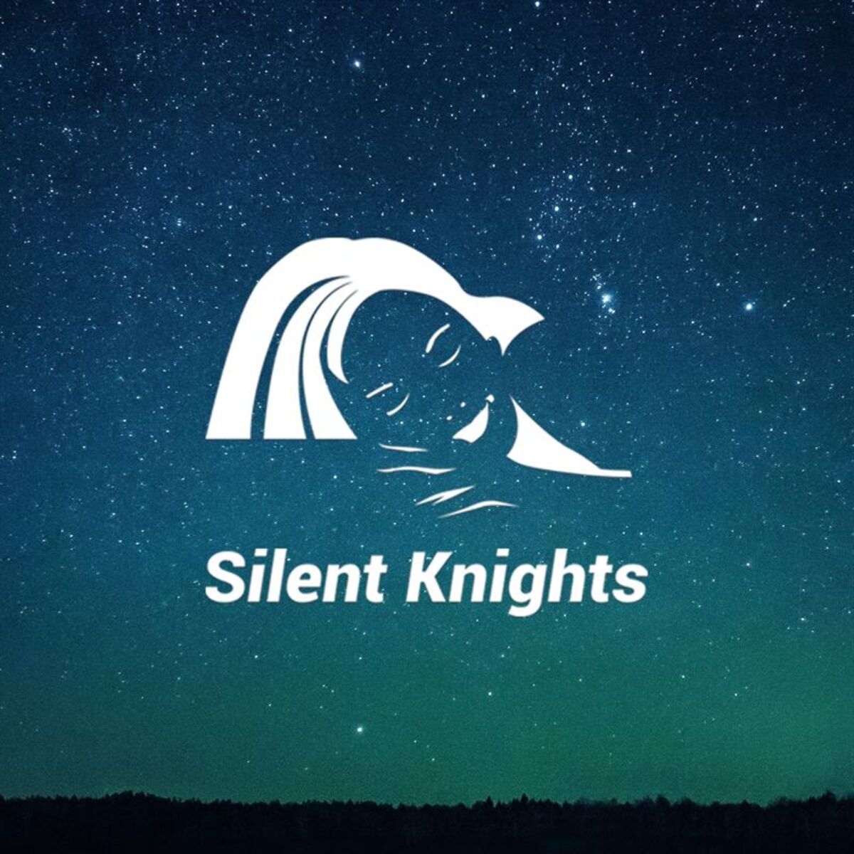 Album cover of Calming Sounds for Night Time