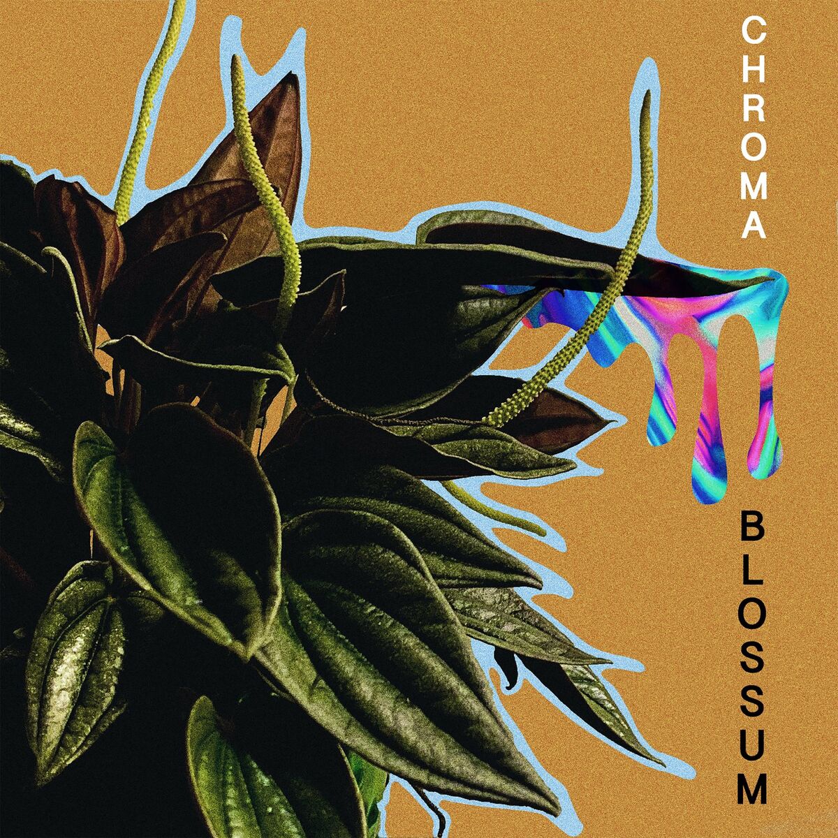 Album cover of Chroma
