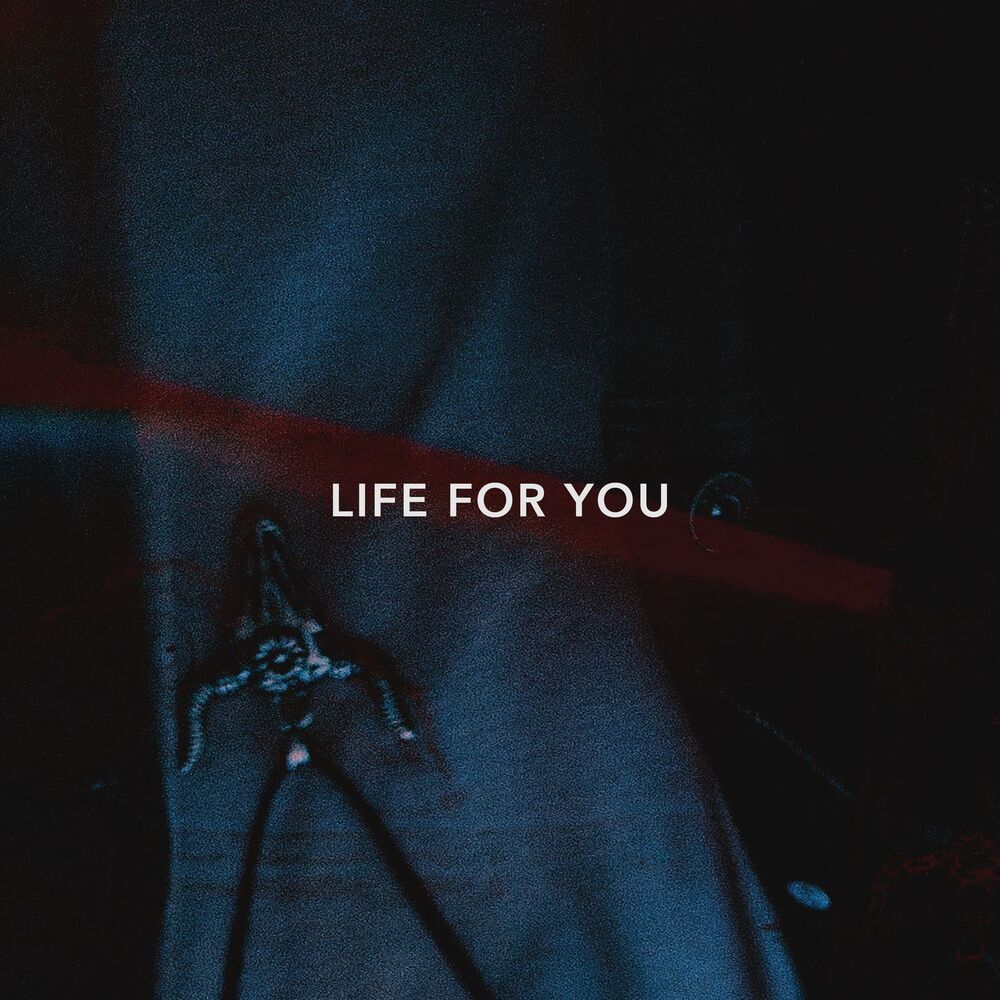 Picture of Life for You