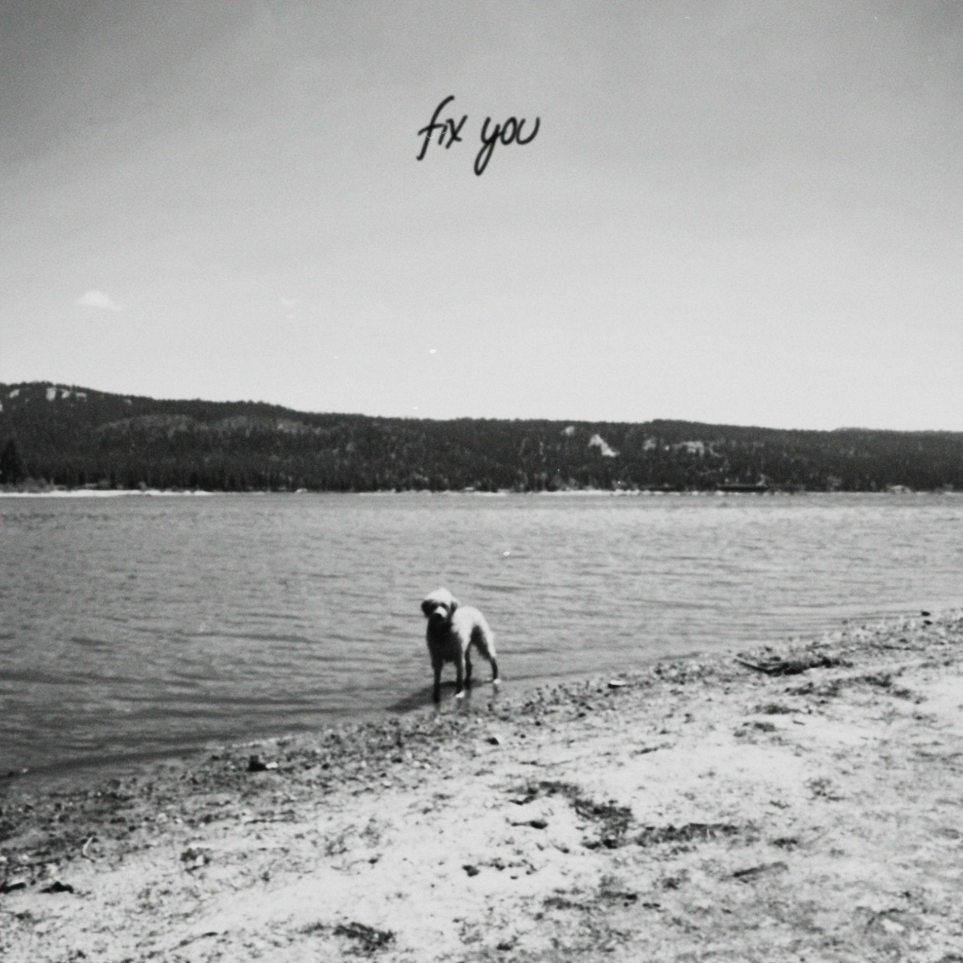 Album cover of fix you