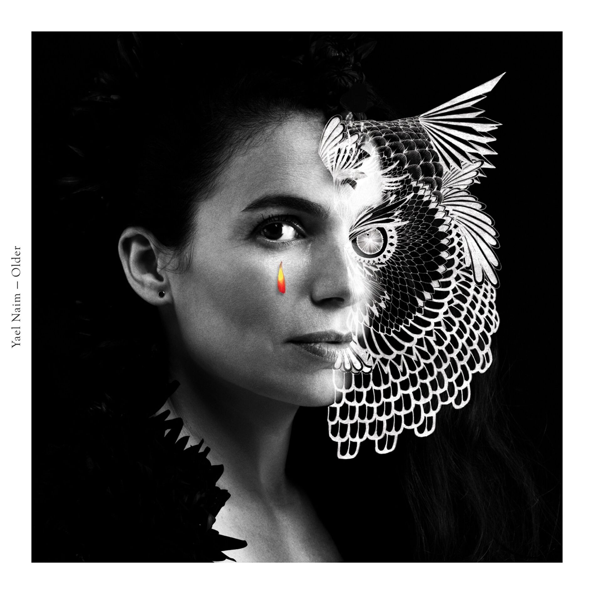 Album cover of Walk Walk
