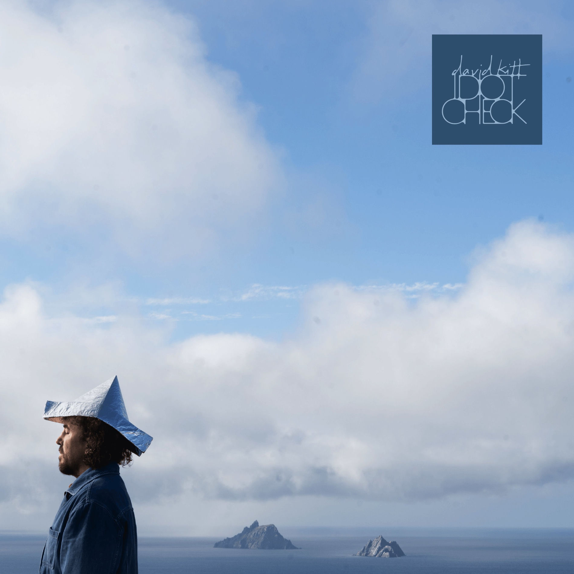 Album cover of Idiot Check