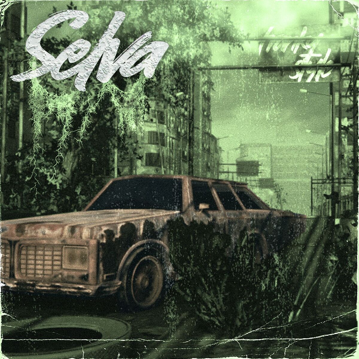 Album cover of Selva