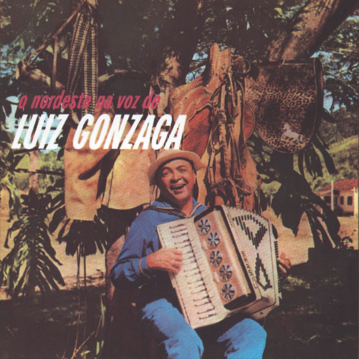 Album cover of Asa Branca