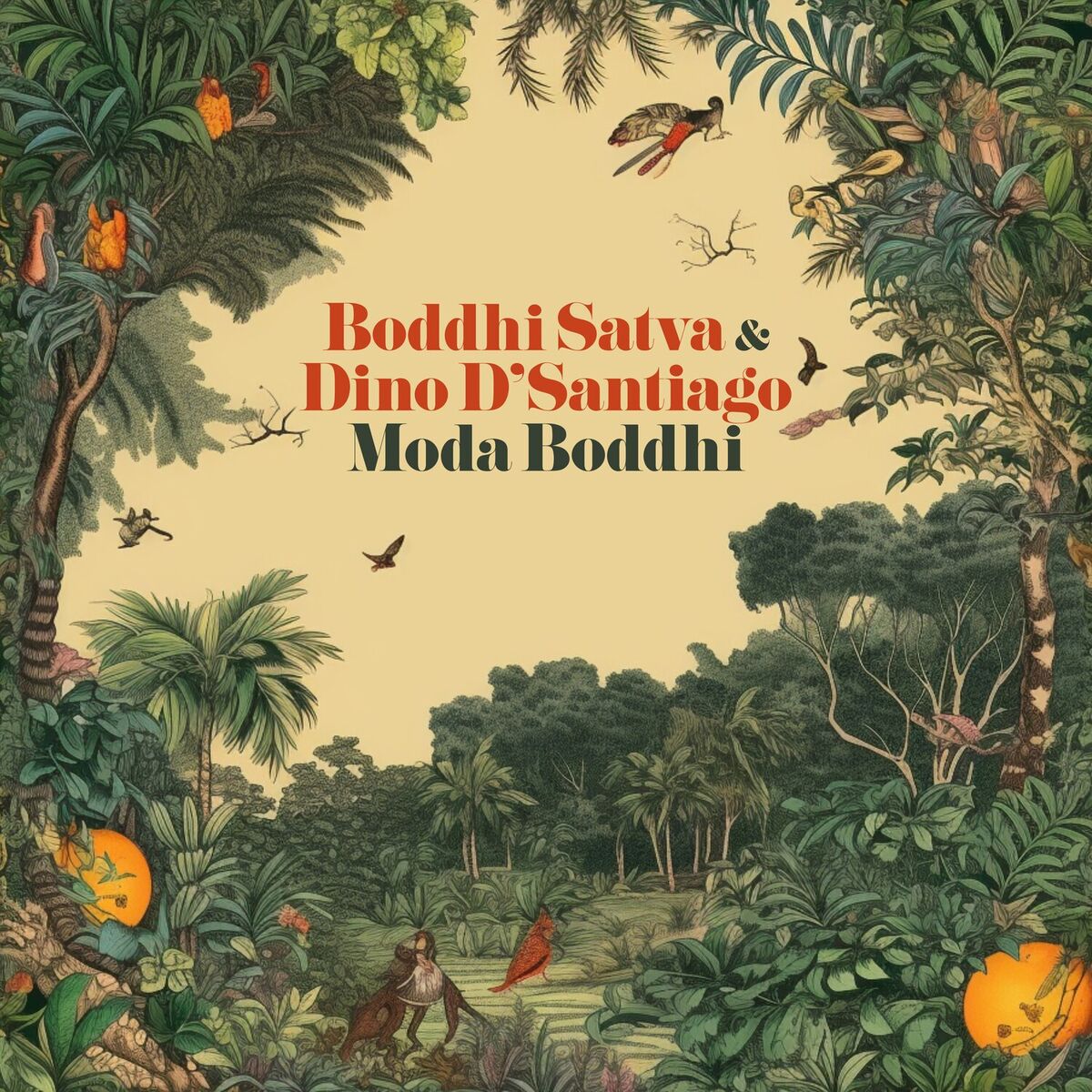 Album cover of Moda Boddhi