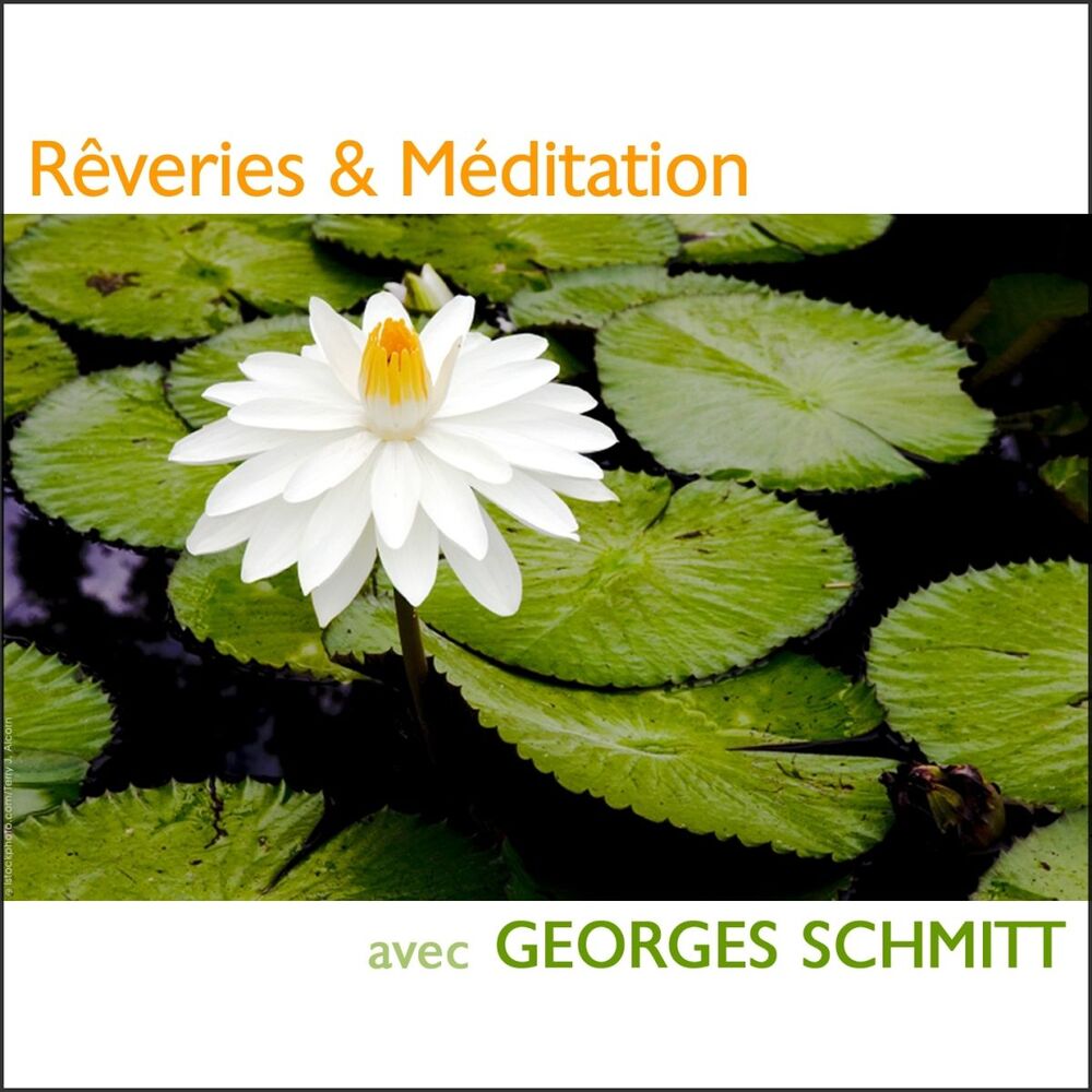 Picture of Rêveries & méditation (Panpipes dreams)