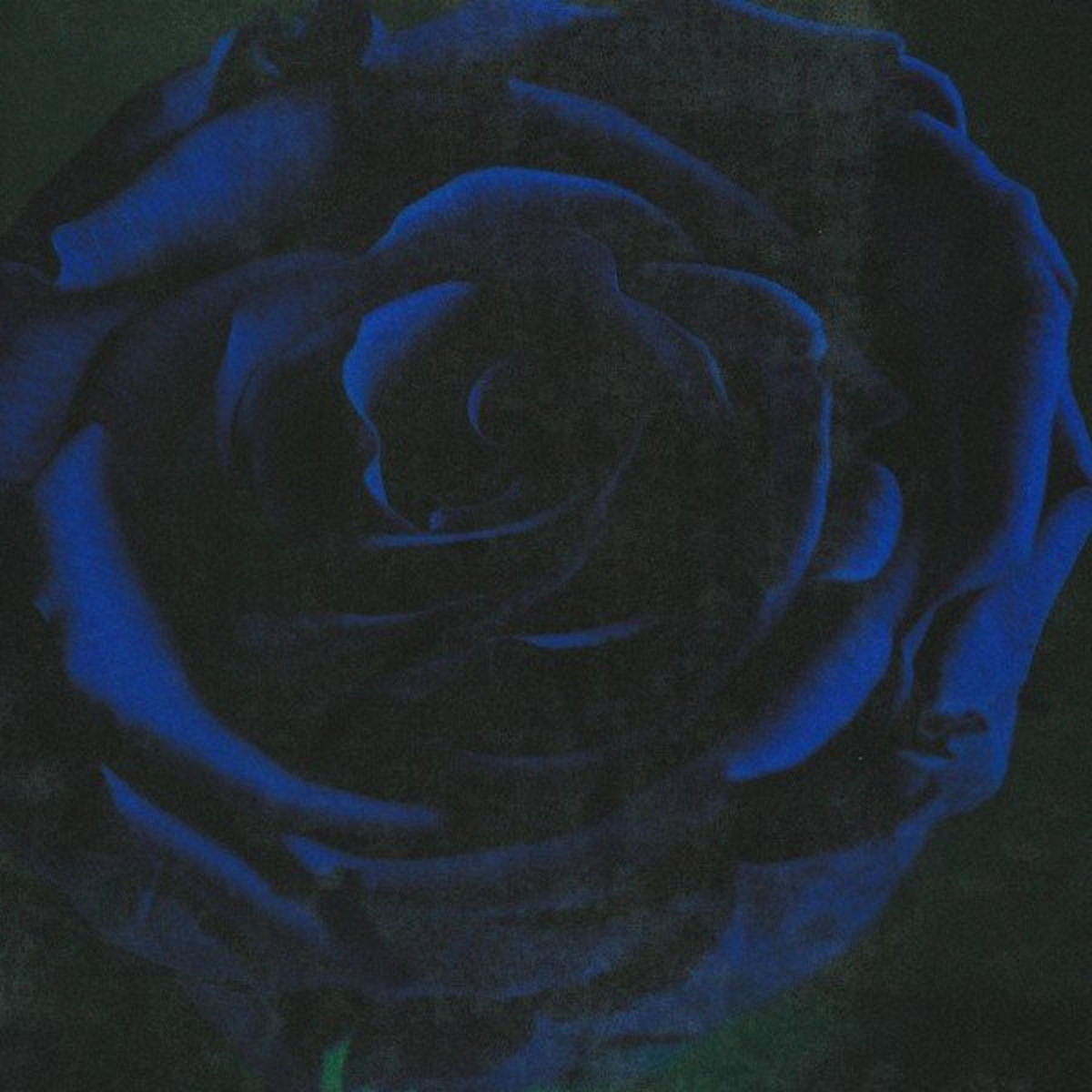 Album cover of Ghost (Acoustic)