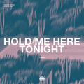 Hold Me Here Tonight