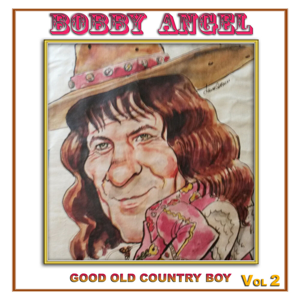 Picture of Good Old Country Boy, Vol. 2