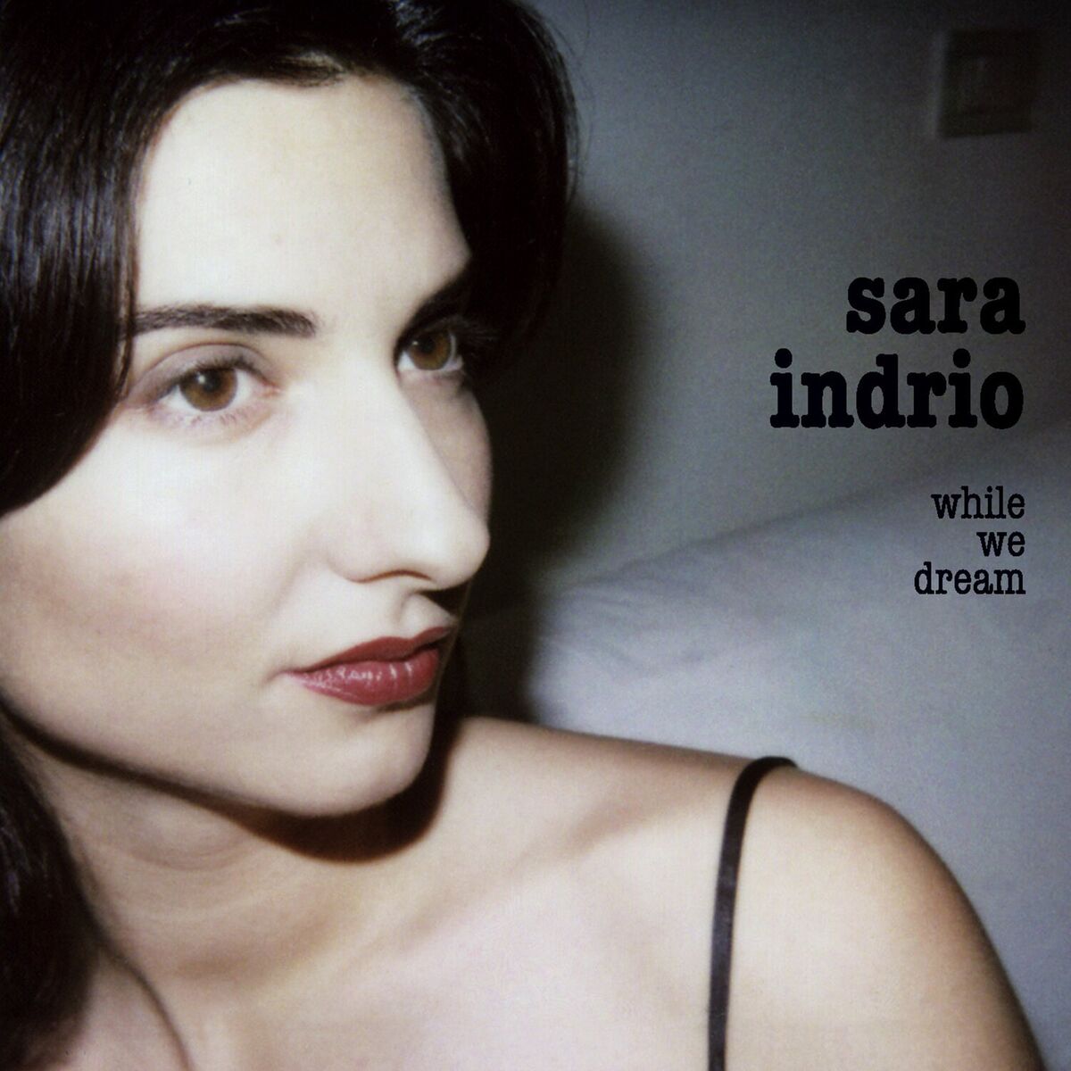 Album cover of While We Dream