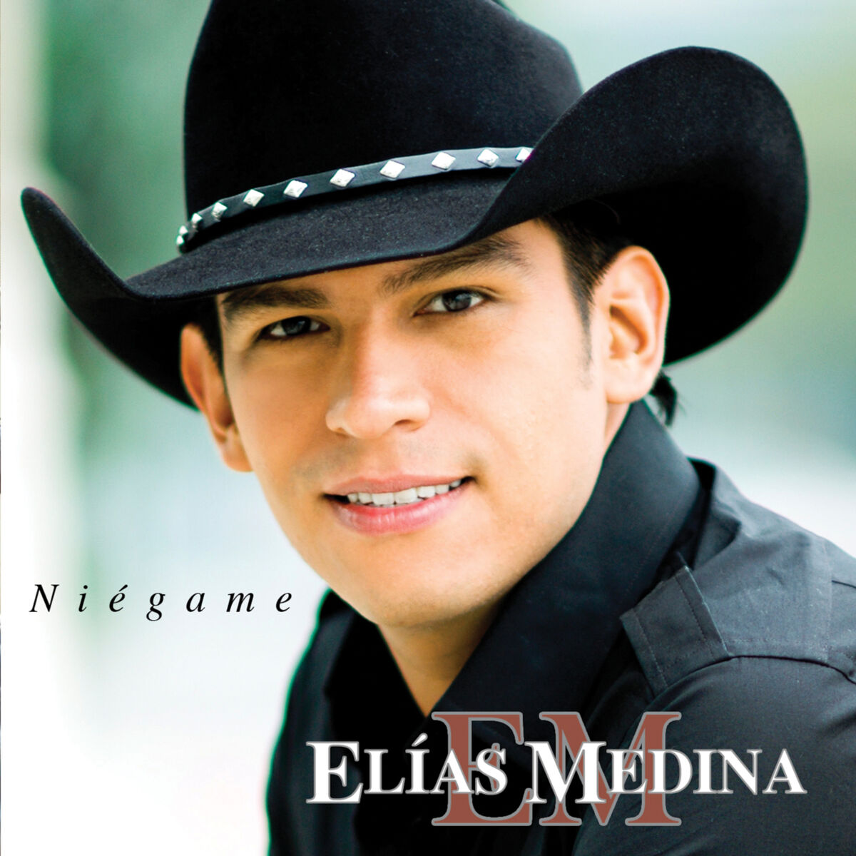 Album cover of Niégame