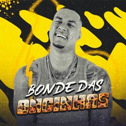 Cover of Bonde das Oncinhas
