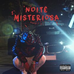 Cover of Noite Misteriosa