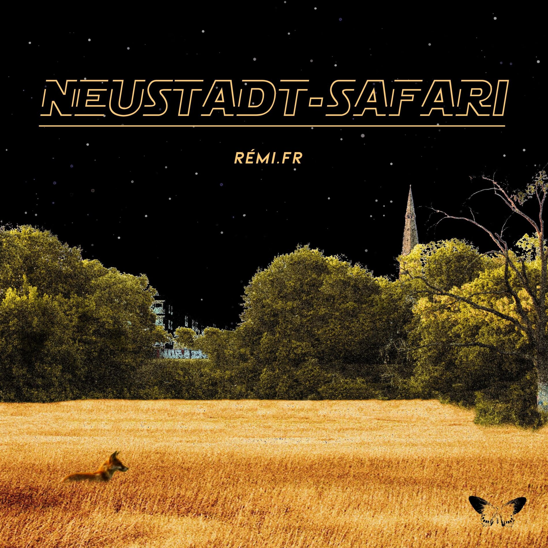 Album cover of Down mit den Jungs