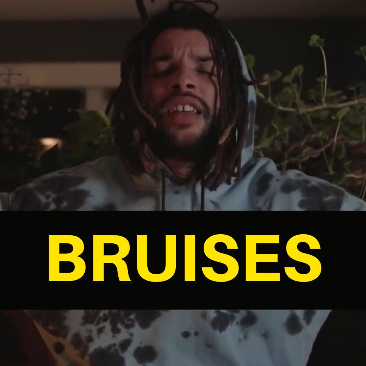 Album cover of Bruises