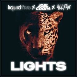 Cover of Lights