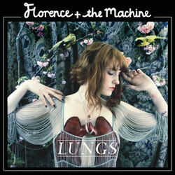 Cover of Lungs