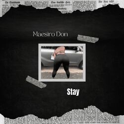 Cover of Stay