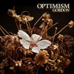 Cover of Optimism