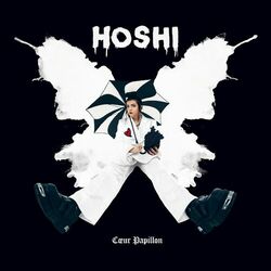 Cover of Cœur papillon