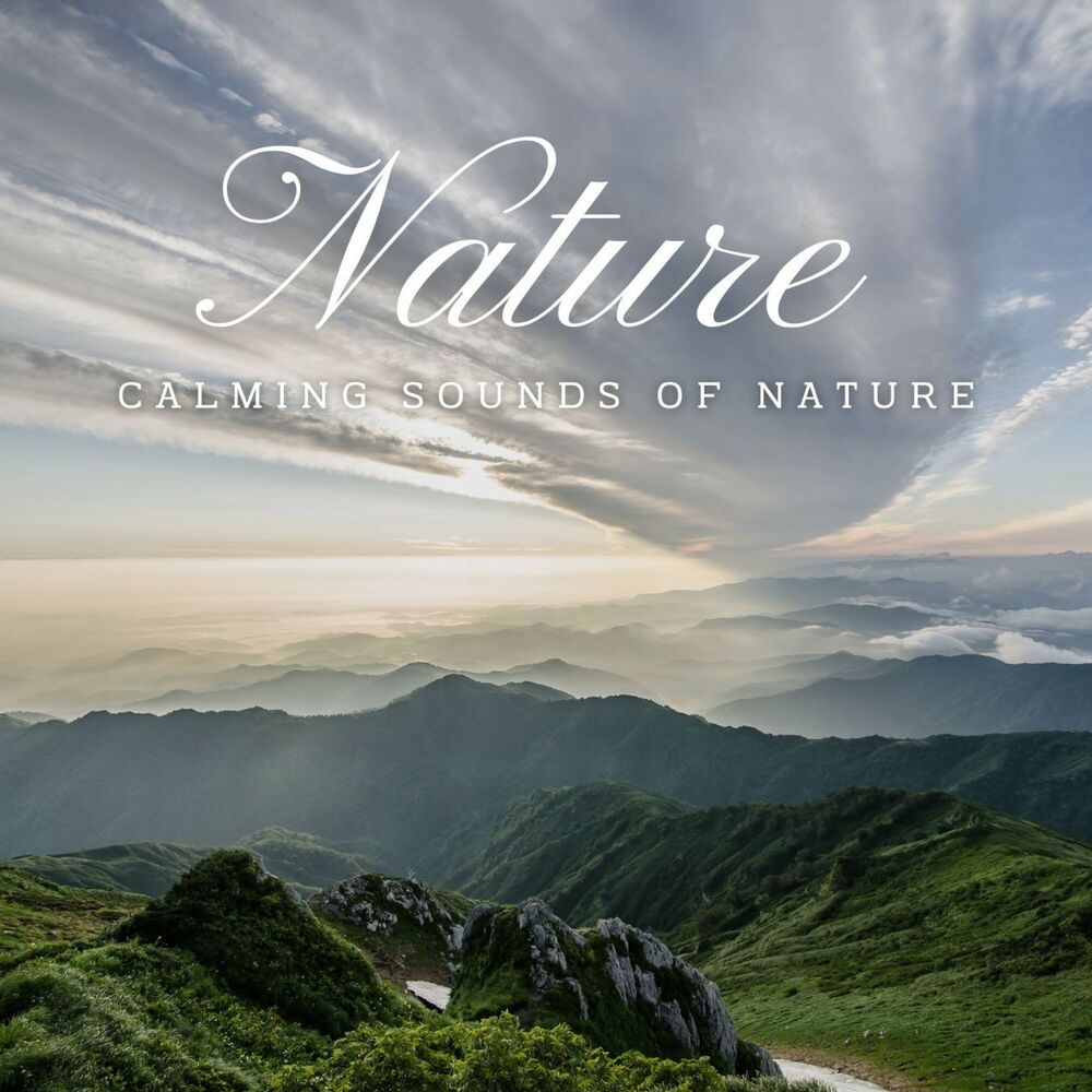 Picture of Eternal Waterscapes: Calming Sounds of Nature