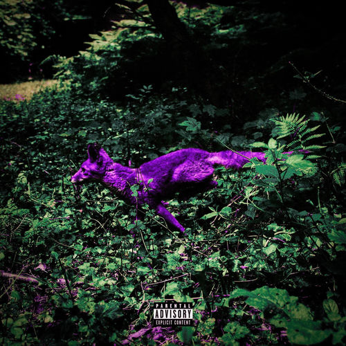 Red Fox (Chopped Not Slopped)