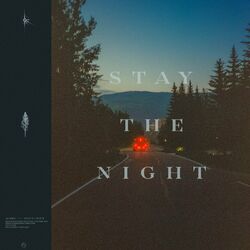 Cover of Stay The Night