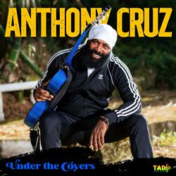 Cover of Under the Covers