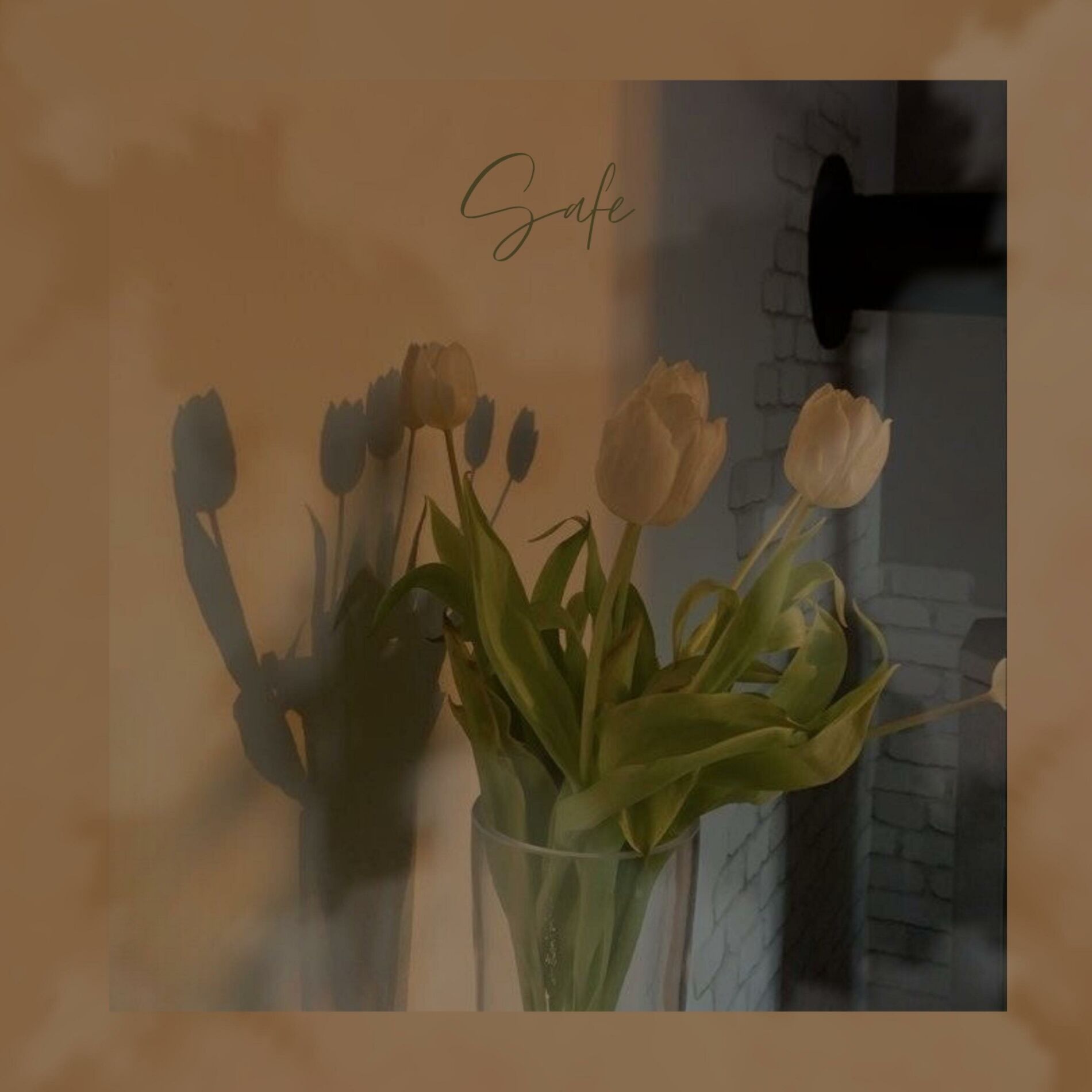 Album cover of Safe