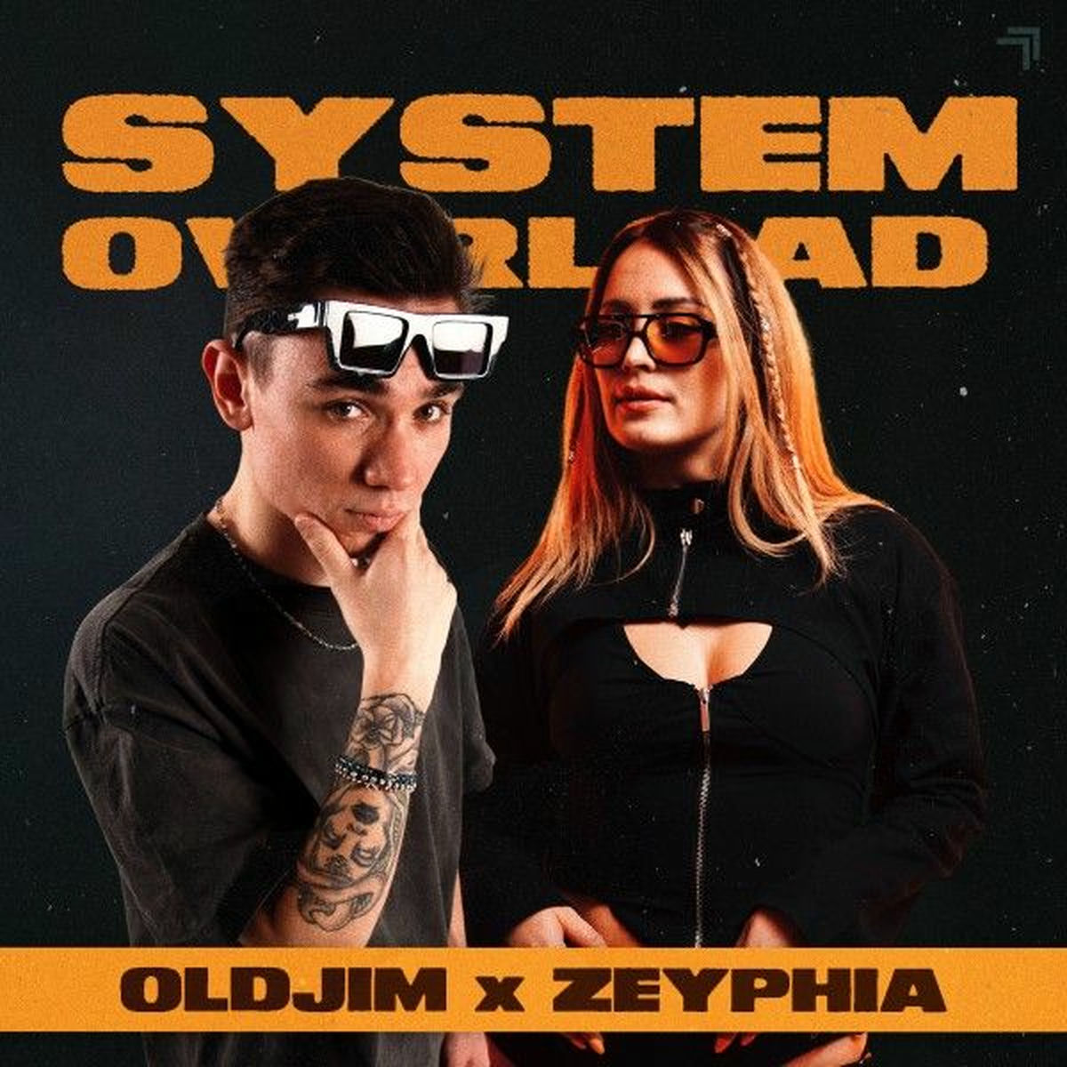 Album cover of System Overload