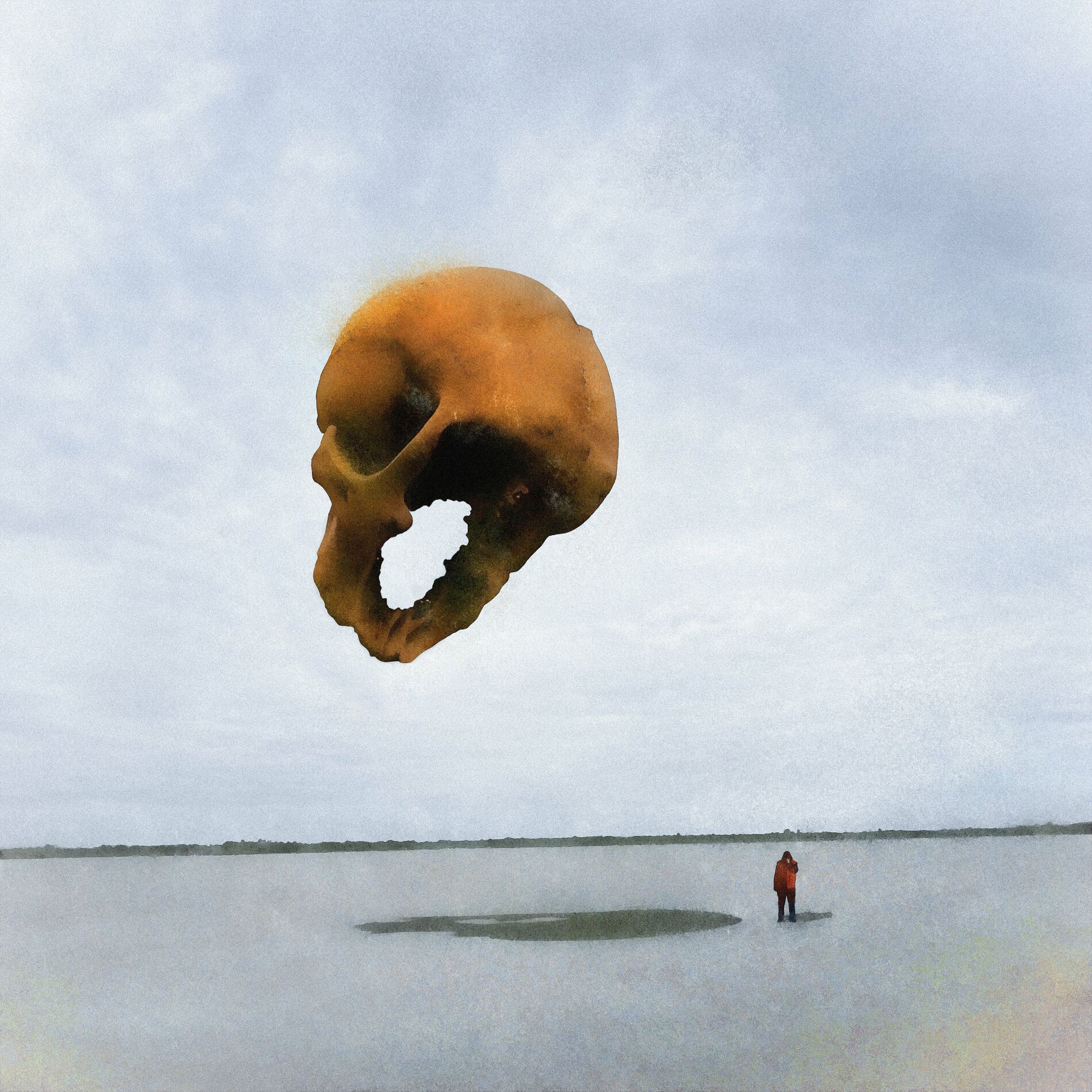 Album cover of No colors