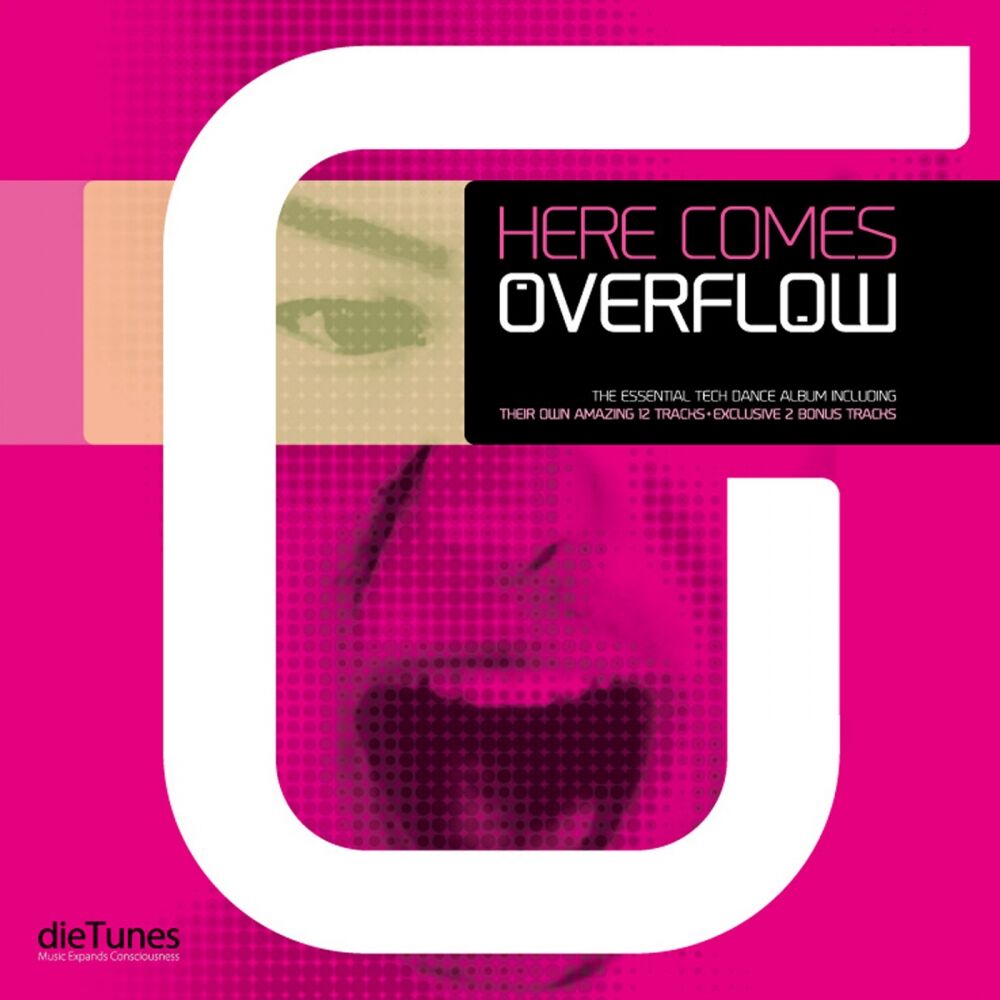 Picture of Here Comes Overflow