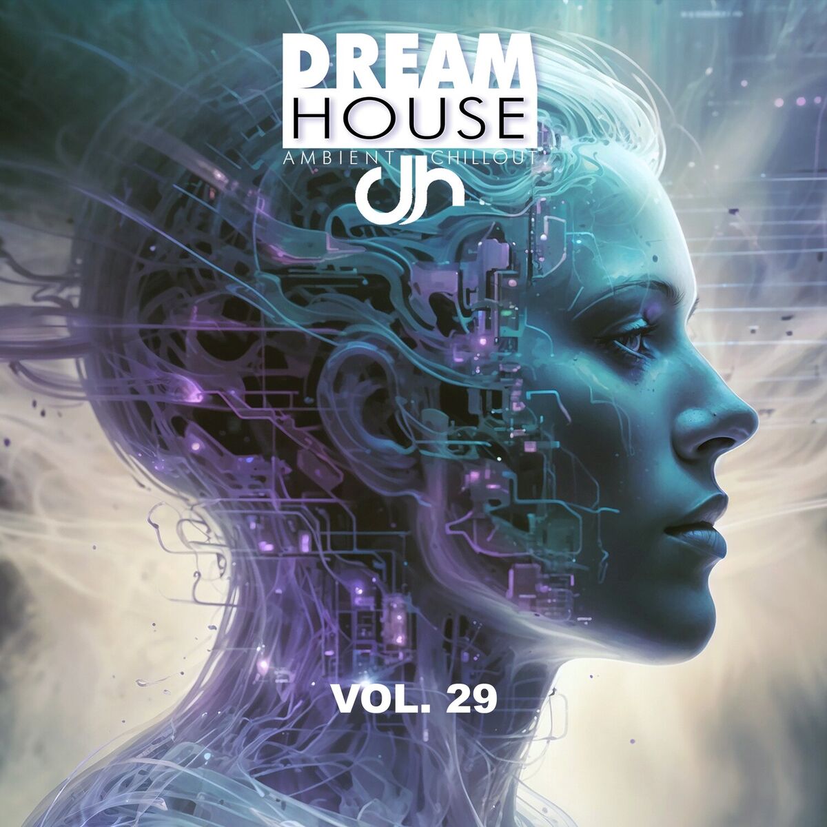 Album cover of Dream House, Vol. 29