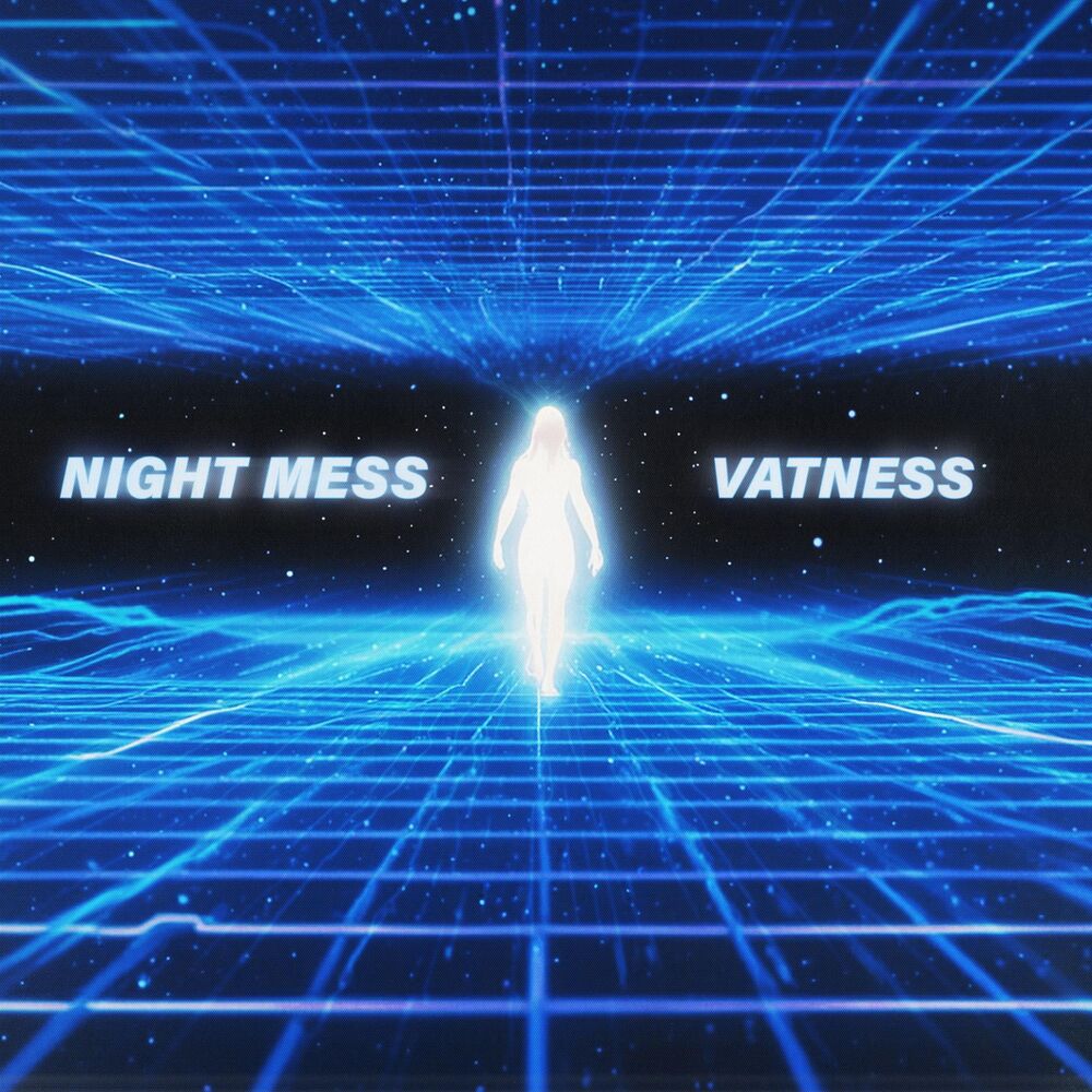 Picture of VATNESS