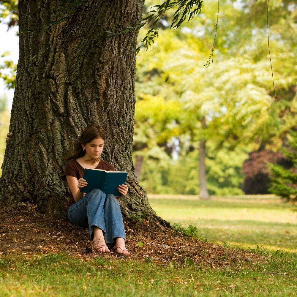 Picture of Trance Texts: Study Meditation Music in Gentle Rain