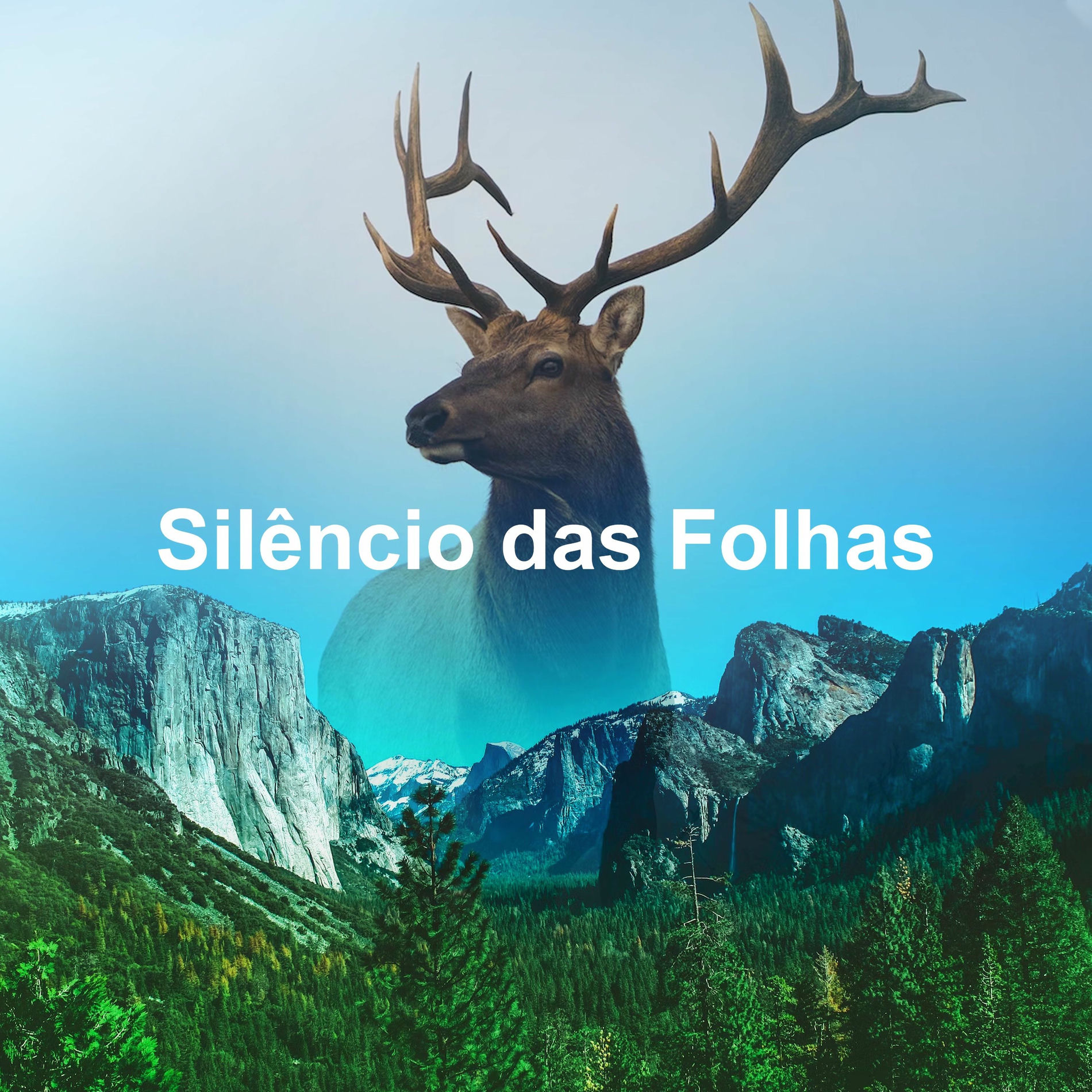 Album cover of Silêncio das Folhas