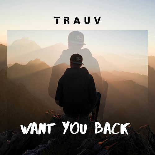 Want You Back