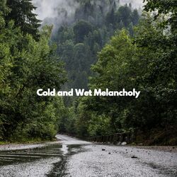 Cover of Cold and Wet Melancholy