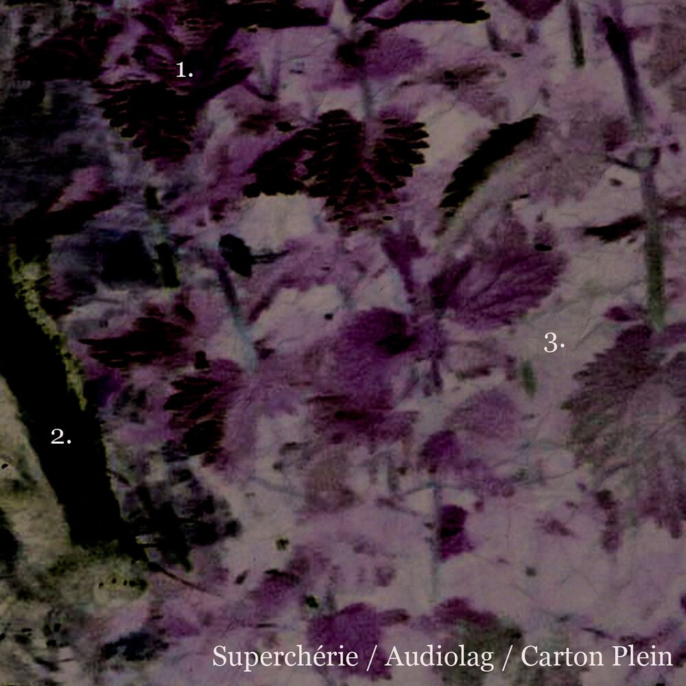 Picture of Superchérie