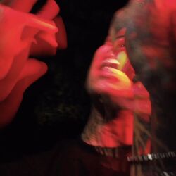 Cover of Flickin Ash
