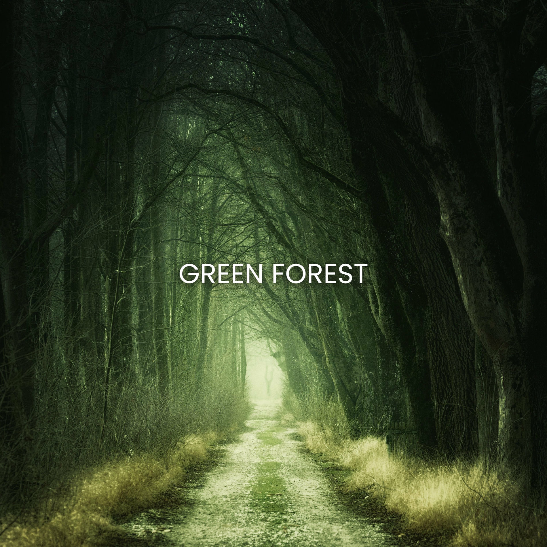 Album cover of Green Forest