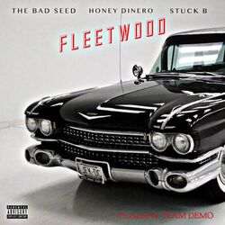 Cover of Fleetwood