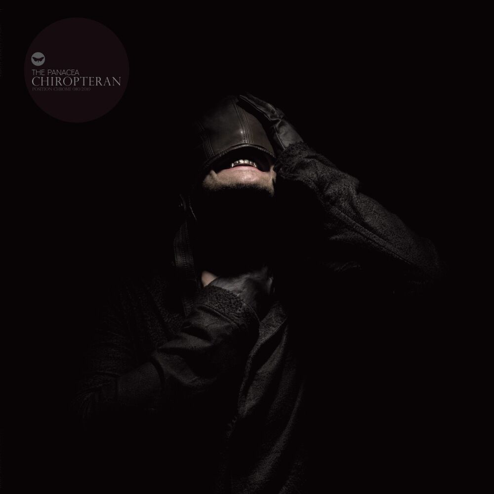 Picture of Chiropteran
