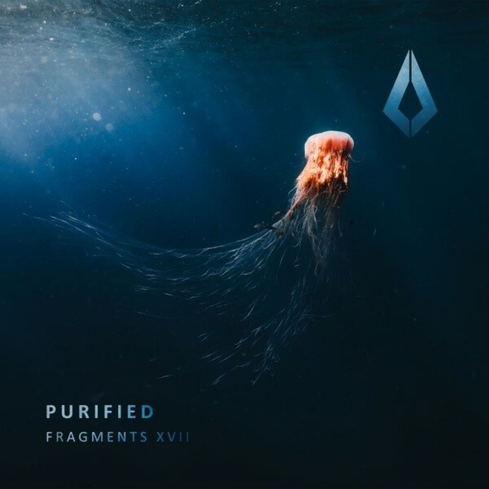 Picture of Purified Fragments XVII