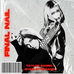 Cover of Final Nail (with Charlotte Sands)