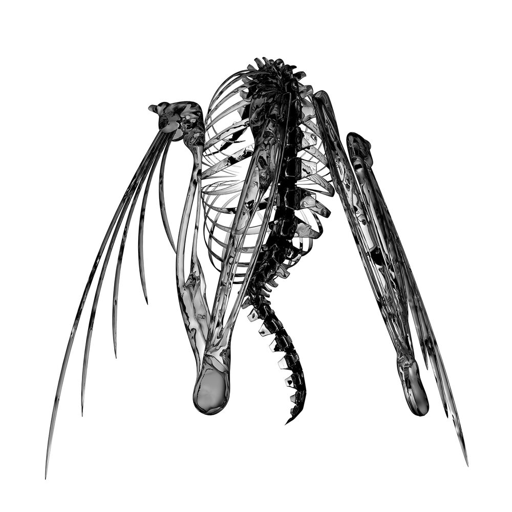 Picture of Heterocetera