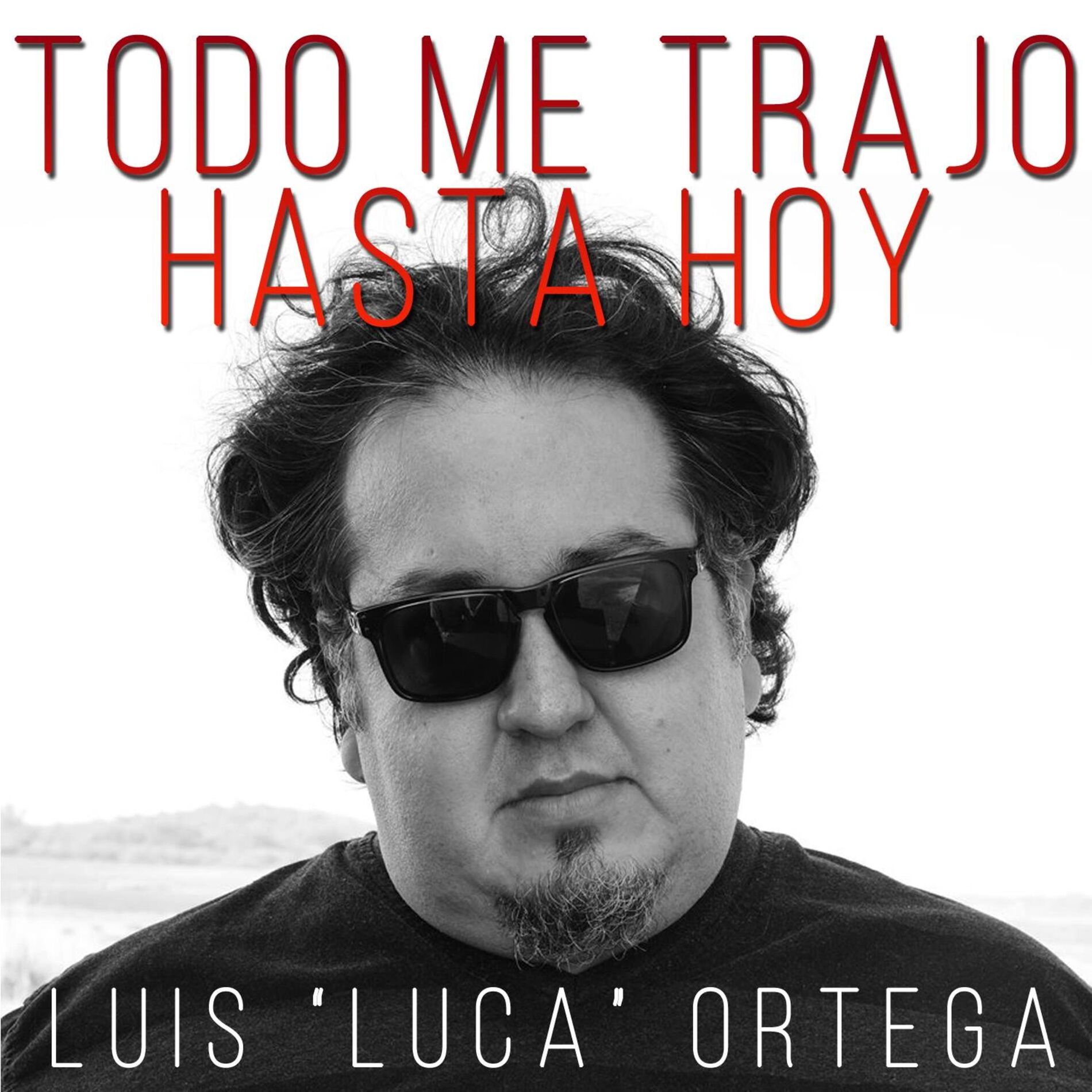 Album cover of Todo Me Trajo Hasta Hoy