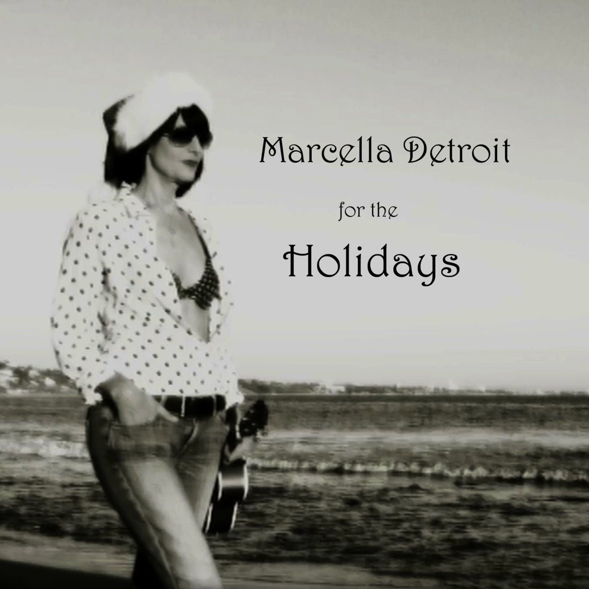Album cover of For the Holidays